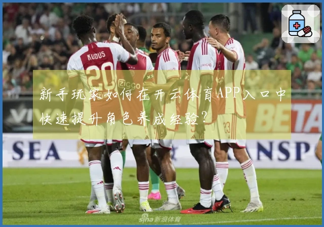 新手玩家如何在开云体育APP入口中快速提升角色养成经验？