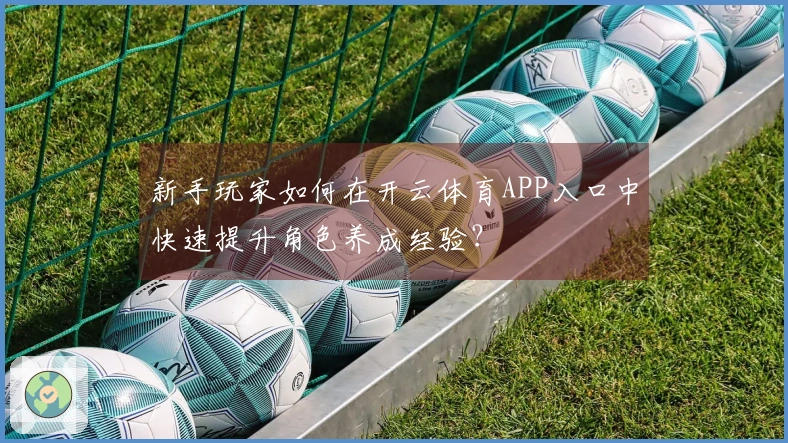 新手玩家如何在开云体育APP入口中快速提升角色养成经验?